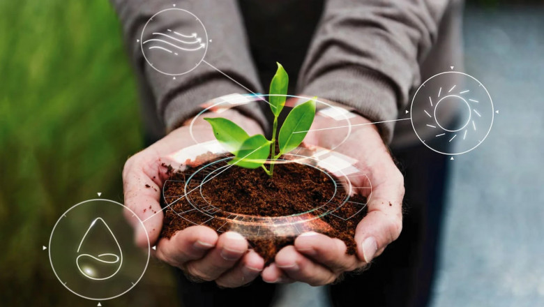 Why Carbon Neutral Practices Are Essential in Manufacturing