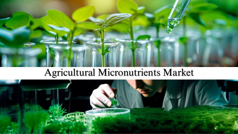Agricultural Micronutrients Market Size, Share, Research Trends and Opportunities Through 2032