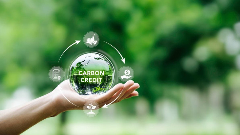 Carbon Offset & Carbon Credit Market Demand: Trends, Impact, and Future Outlook