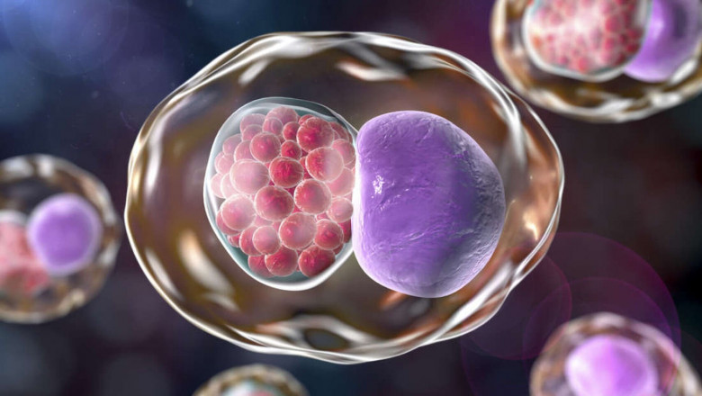 Chlamydia Diagnostics Market Outlook 2025 to 2035: Challenges and Opportunities
