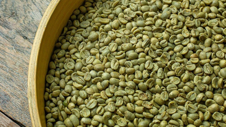 Green Coffee Market Size, Share, Dynamics, Growth, 2032