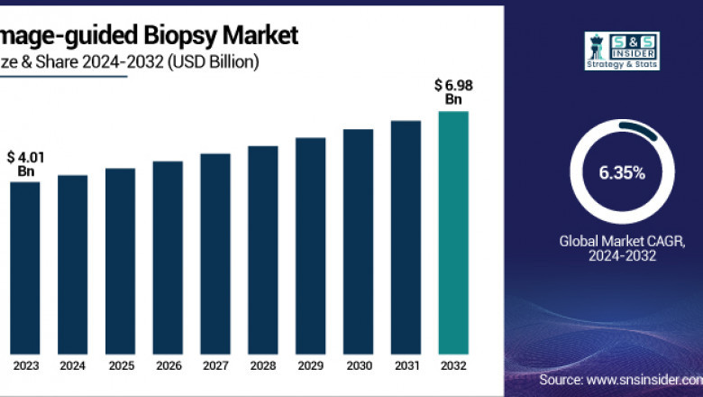 Image-guided Biopsy Market: Investment Opportunities 2024-2032