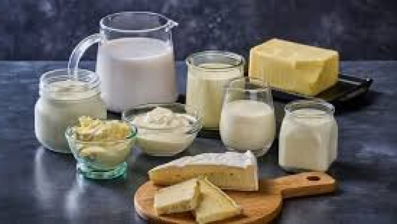 Milk Protein Market Outlook: Innovations, Applications, and Forecasts