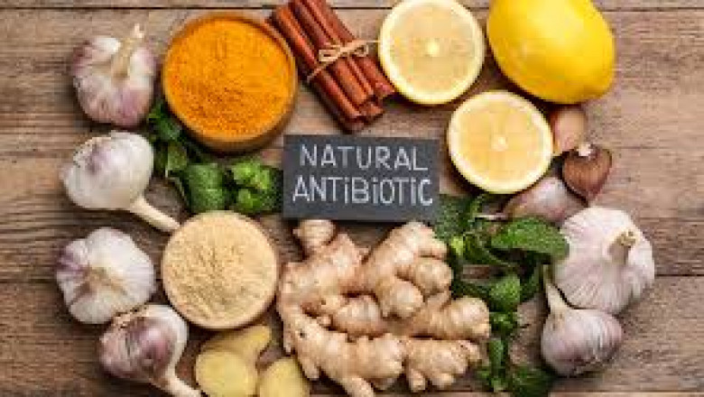 Natural Remedies That Help Kill Bacteria Safely