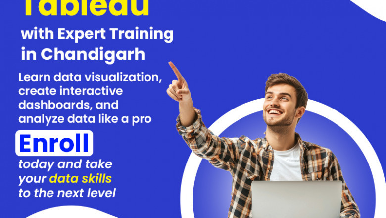 Tableau Developer Career Path Concerns