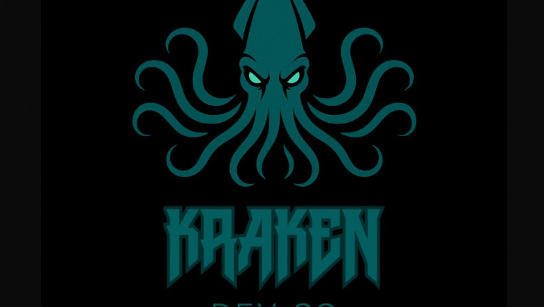 The Reasons Your Business Requires Kraken Dev Co: Professional Perspectives on Lead Generation, Web Development, and SEO
