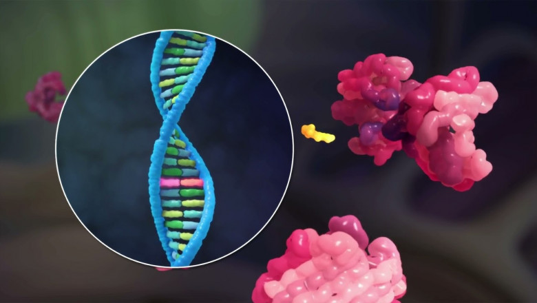ATTR Amyloidosis Treatment Market to Surge with Gene Silencing Therapies