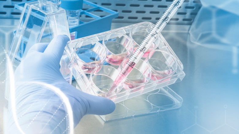 Bioassay Services Market to Soar Owing to Cell and Gene Therapies