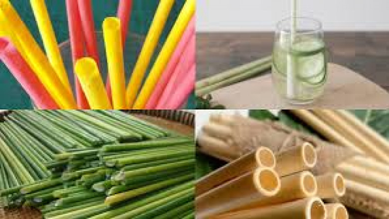 Eco-Friendly Straws Market Innovations: How New Materials and Designs Are Reshaping the Market Landscape