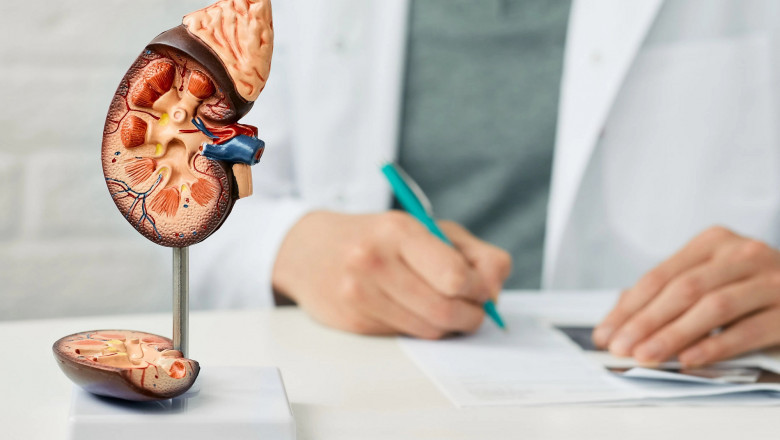 End-Stage Renal Disease (ESRD) Treatment Market is Anticipated to Witness High Growth Owing to Rising Prevalence of Kidney Disorders