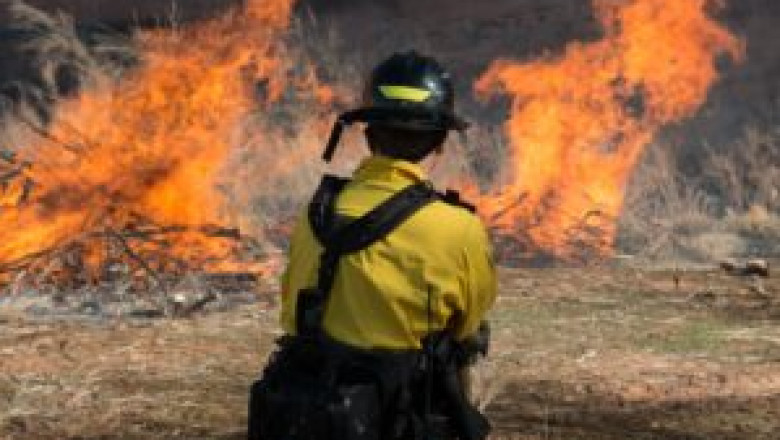 Fire Monitoring in Banff and Dewinton: Protecting Alberta's Unique Landscapes and Communities
