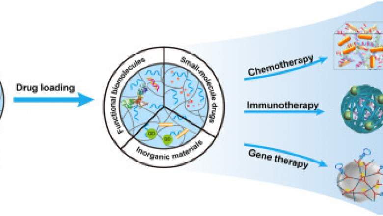 Hydrogel-Based Drug Delivery Market Forecast: Growth, Drivers, and Future Trends