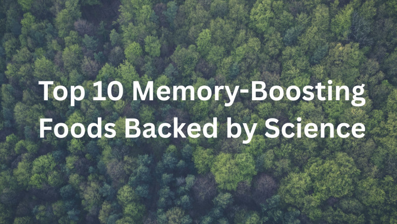 Top 10 Memory-Boosting Foods Backed by Science