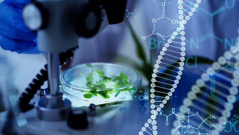 White Biotechnology Market to Witness High Growth Owing to Synthetic Biology