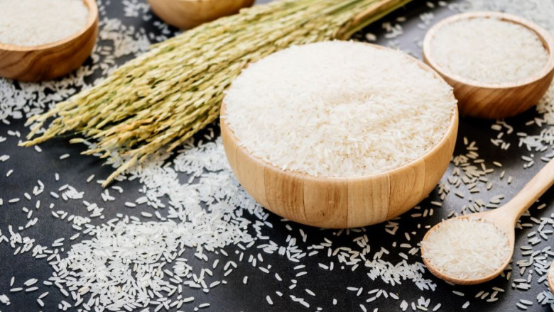 Benefits of Rice DDGS in Animal Feed – Enpro Feeds