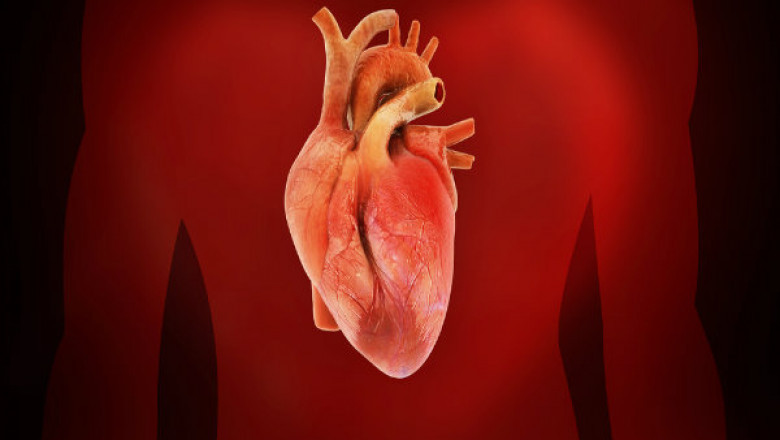Cardiac Prosthetic Devices Market to Gain Growth Due to Increased Adoption of Less Invasive Surgical Techniques