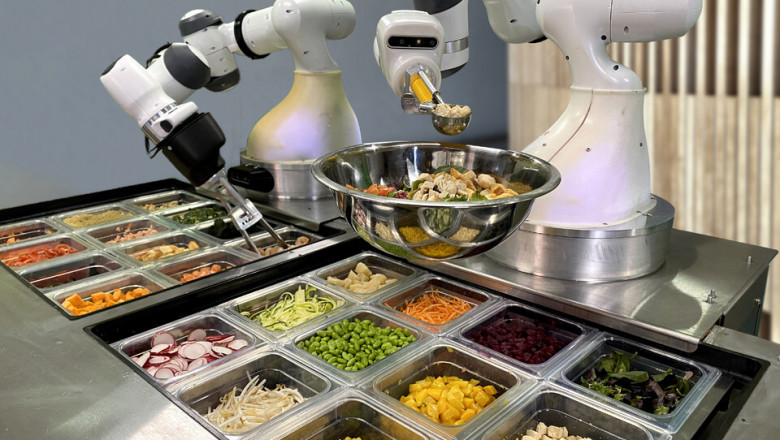 Food Robotics Market: Trends, Forecast, and Competitive Analysis to 2033