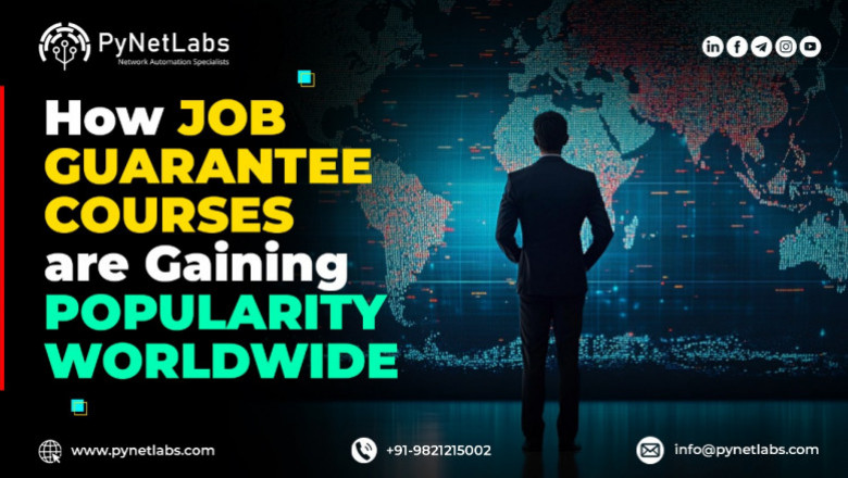 How Job Guarantee Courses Are Gaining Popularity Worldwide