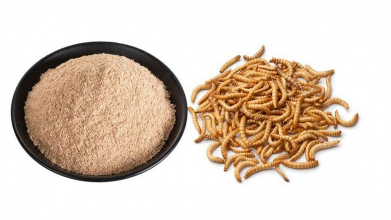 Insect Protein Market is Estimated to Witness High Growth Owing to Automated Bioconversion Systems