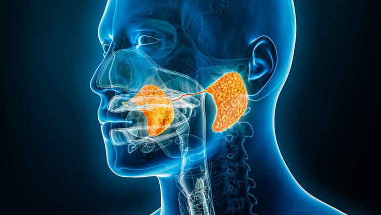 Salivary Gland Infection Market to Grow Due to Rising Oral Disorders
