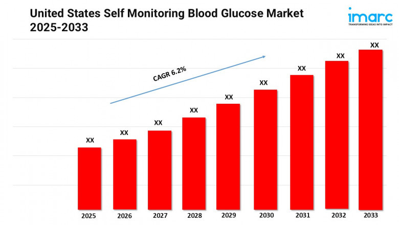 United States Self Monitoring Blood Glucose Market Trends & Share 2025-2033