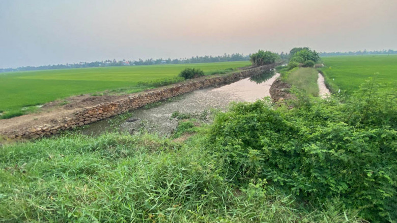 A Journey Through India: Kerala, Spirituality, and Timeless Wisdom