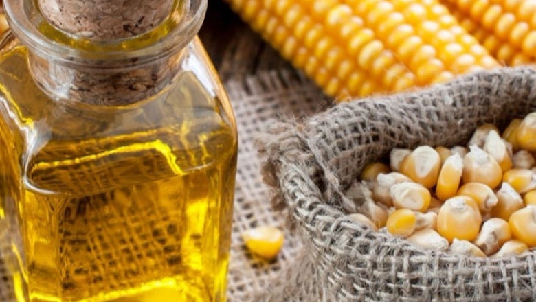 Corn Oil Market Overview: Key Insights, Global Trends, Growth Scope and Industry Outlook