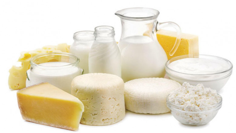 Dairy Ingredients Market Forecast: Growth Drivers, Trends, and Challenges