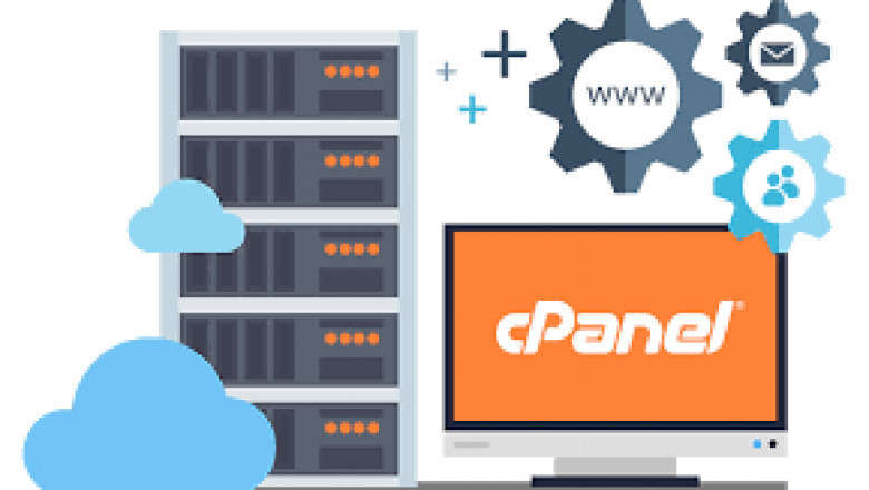 Why It Is Must To Check Reseller Cpanel Hosting