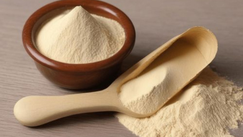 Yeast Nucleotides Market Outlook: Future Trends and Growth Prospects