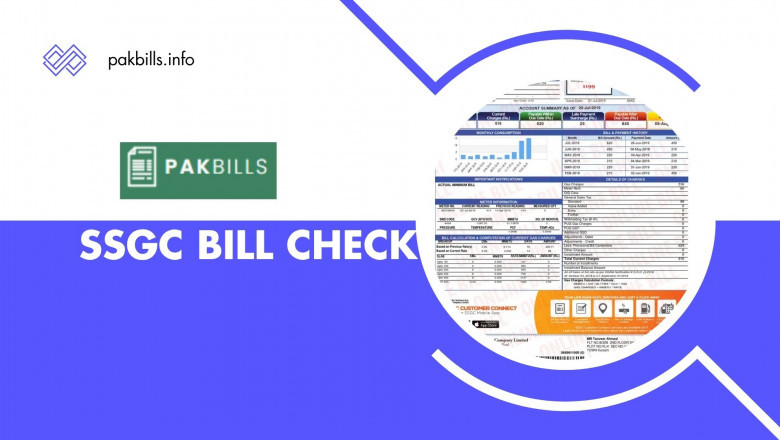 A Complete Guide to SSGC Bill Check Services in Pakistan