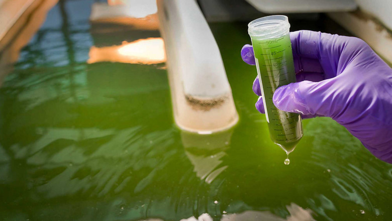 Liquid Biofuels Market Set to Surge Owing to Advanced Biorefining Technologies