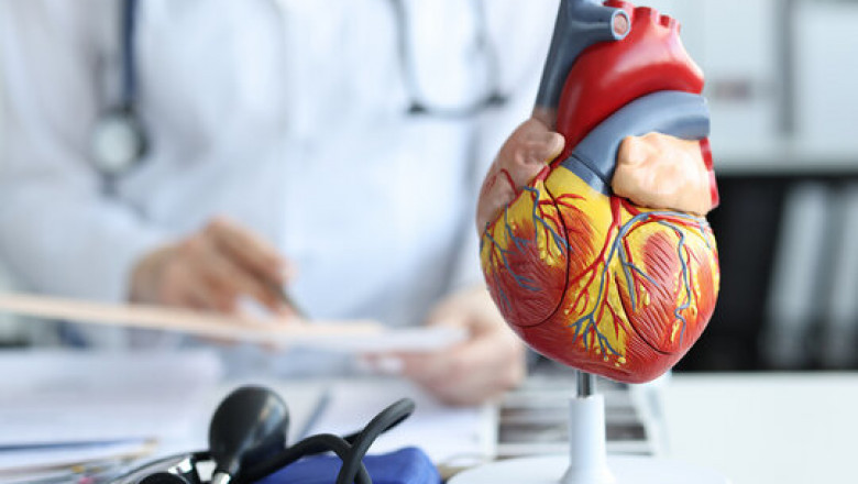 Who Are the Best Cardiologists for Arrhythmias in Abu Dhabi?