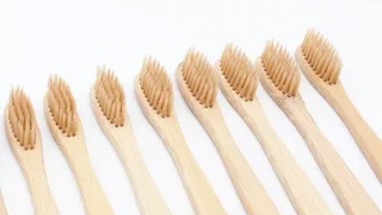 Bamboo Toothbrush Market Analysis Suggests Brand Loyalty Is Shifting Toward Sustainable Alternatives