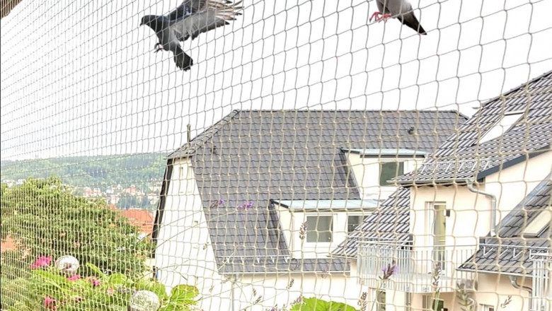 Bird Nets in Dubai: Effective Methods and Strategies