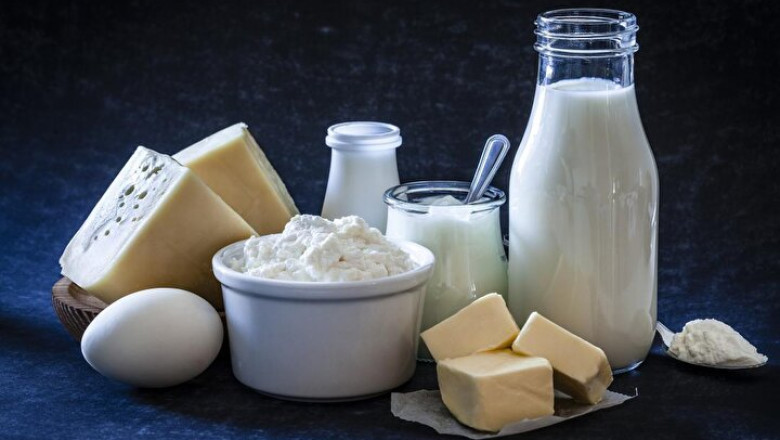 Dairy Enzymes Market Continues to Evolve with Focus on Enhancing Yield and Reducing Production Waste
