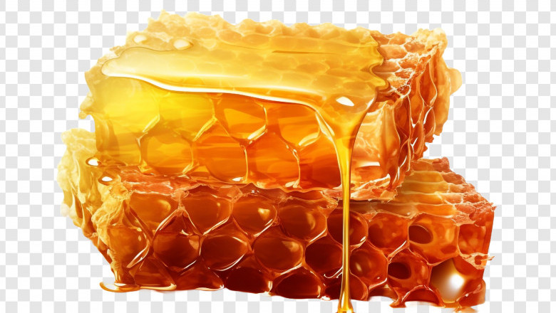 Honey Market Size, Share, Dynamics, Growth, 2032
