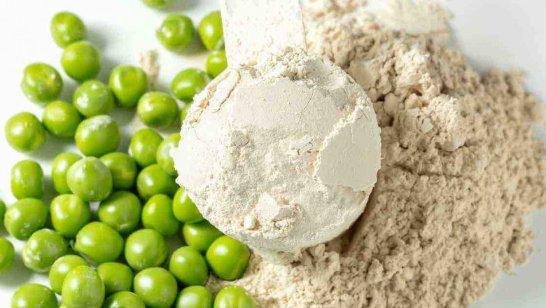 Pea Protein Market Forecast: Projecting Growth Trajectories Through 2032
