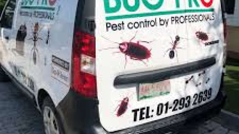 Pest-Free Living Starts Here: Expert Fumigation Services Across Lagos