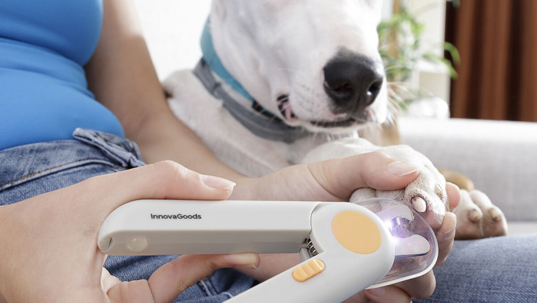 Pet Nail Clippers with LED Clipet InnovaGoods - Qubyk UK