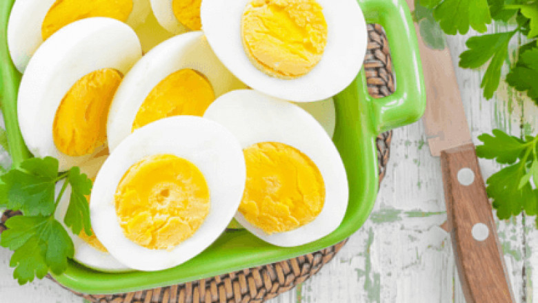 Plant Based Eggs Market Forecast: Growth Trajectory, Regional Demand, and Revenue Projections Through 2032