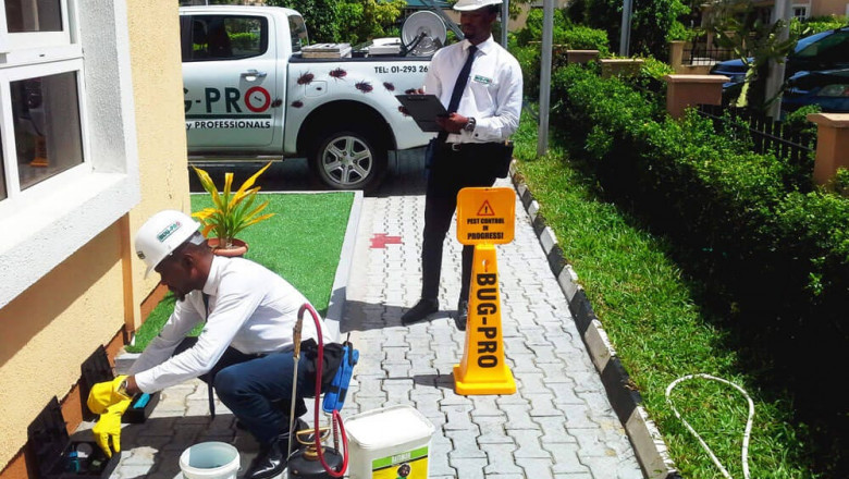 Reliable Pest Control Services in Nigeria – Protect Your Home and Business from Harmful Pests