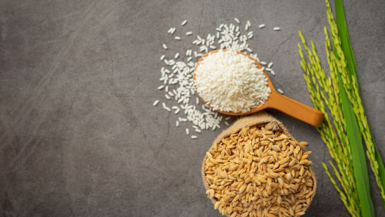 Unlocking the Power of Rice DDGS in Animal Feed – Enpro Feeds
