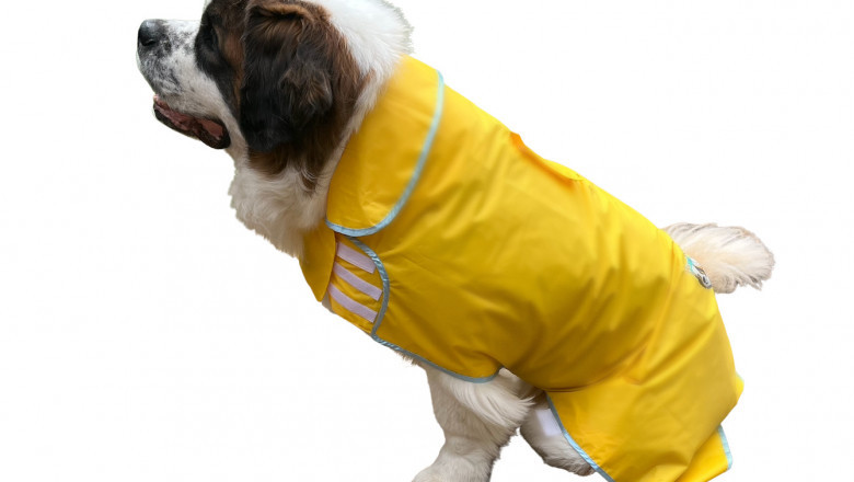 Benefits of Choosing Large Dog Raincoats from HugeHounds