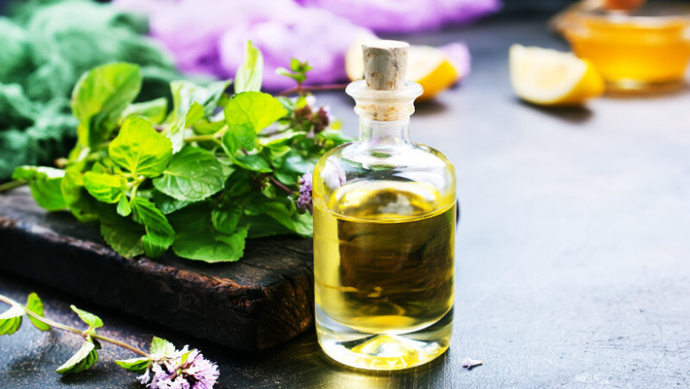 Herbal Fragrance Ingredients Market Forecast: Projecting Growth Across Natural Scent Applications
