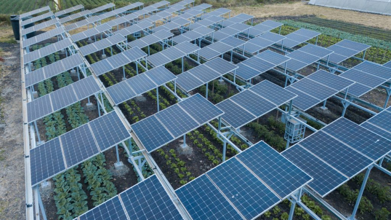 How Agrivoltaic Systems Are Revolutionizing Solar Power Generation