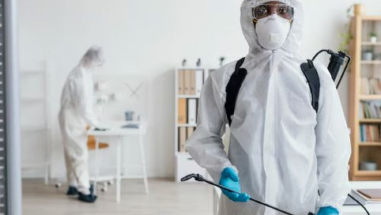 How Do Ant Pest Control Services Work?
