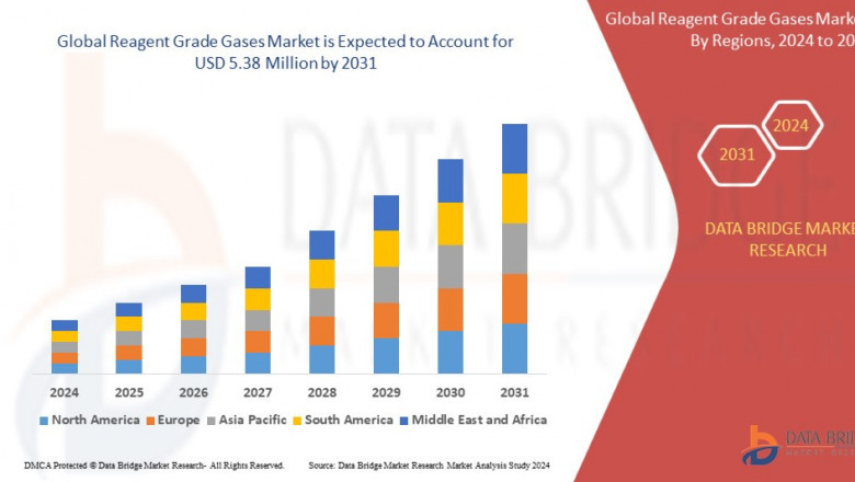 Reagent Grade Gases Market: Size, Share, and Future Growth