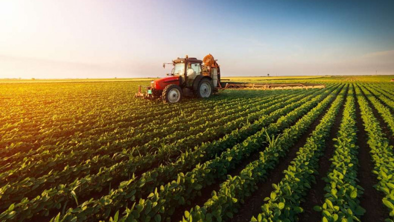 Unlocking the Potential of the Agricultural Enzymes Market: A Green Revolution in the Making