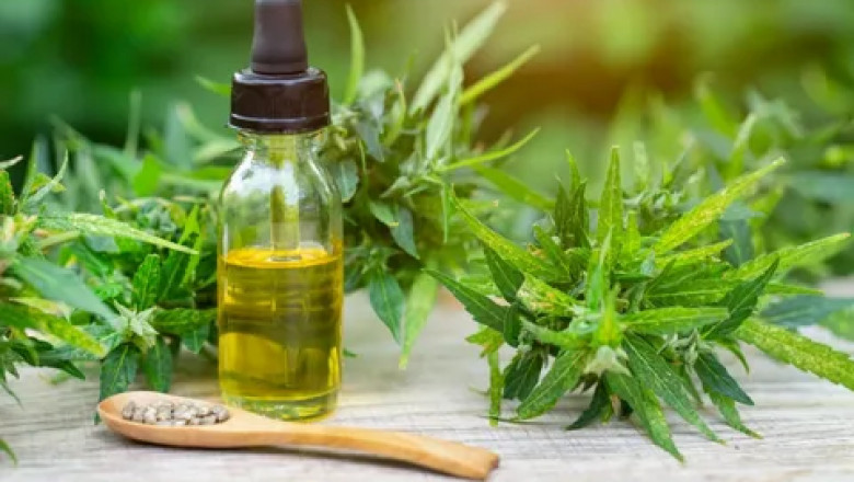Cannabis Extract Market Expansion Fueled by Consumer Interest in Non-Psychoactive Healing Alternatives